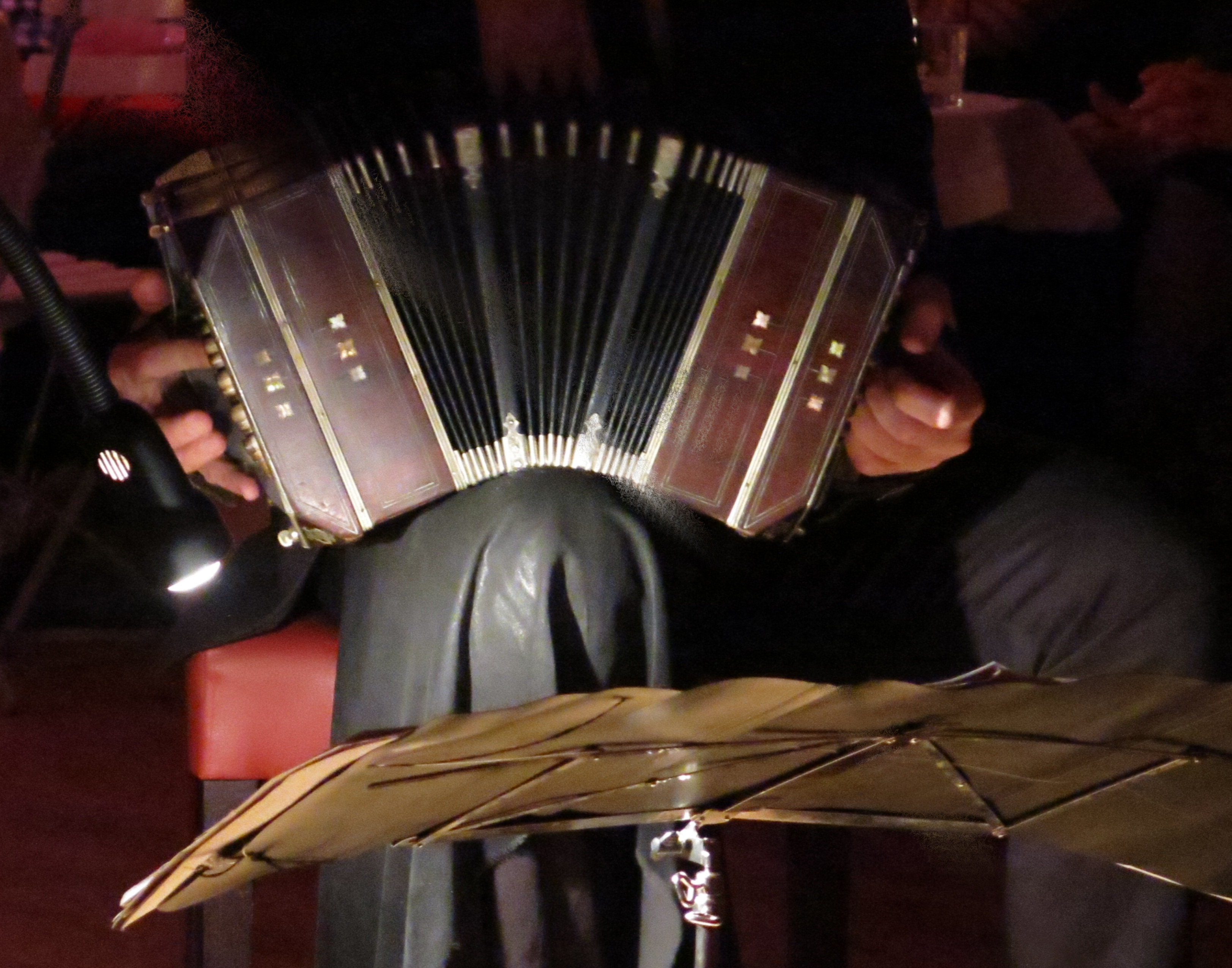 ./m/3431/bandoneon-las-ranas.JPG